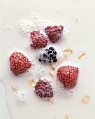 Berries in Milk