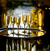 Several champagne glasses on a tray