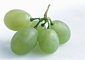Five green grapes on a light background