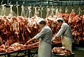 Metzger zerlegen Schweinefleisch für die Weiterverarbeitung