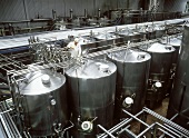 Yoghurt factory with incubation tank (technician taking sample)