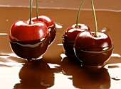 Fresh cherries, half with chocolate sauce