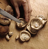 Preparing shiitake mushrooms (cutting off the stalks)