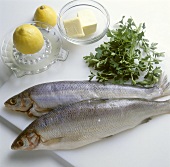 Two fresh blue char, parsley, butter and lemons