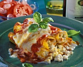 Cannelloni mit drei Käsesorten und Tomatensauce