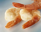 Scampi on grey background