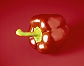 Red pepper on red background
