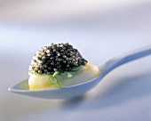 Caviare with mashed potato on spoon