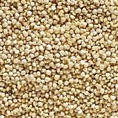 Quinoa (filling the picture)