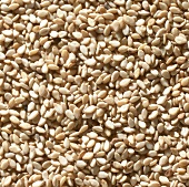 Unpolished sesame (filling the picture)