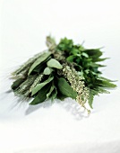 Herb bouquet: sage, mugwort, parsley, fern etc