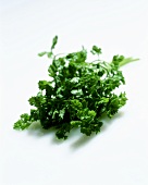 Fresh chervil