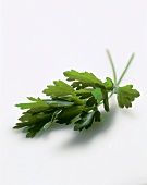 Fresh parsley