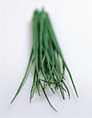 Fresh chives