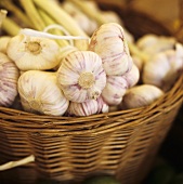 Fresh garlic in basket
