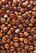 Sweet chestnuts (filling the picture)