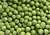 Brussels sprouts (filling the picture)