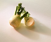 Whole and half fennel bulb on white background