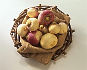Turnips on jute in a basket