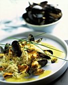 Sauerkraut with mussels and white wine sauce