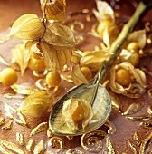 Physalis with leaf-shaped spoon