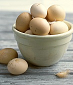 Bowl of Fresh Eggs