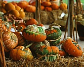 Various pumpkins on bales of straw