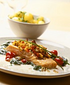 Salmon in batter on spinach with cherry tomatoes