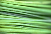 Chives (close-up)