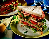 Tuna sandwich with tomatoes, onions and lettuce