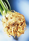 Celeriac 