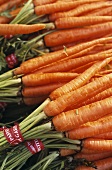 Fresh carrots at the market