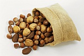 Various unshelled nuts in jute sack