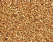Buckwheat (filling the picture)