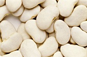 White beans (Corona beans)