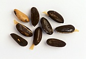 Pine nuts (unshelled)