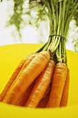 A bunch of carrots in yellow bowl