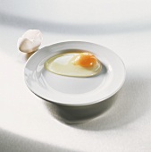 Very fresh egg broken on to white plate