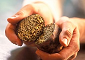 Hands holding halved slate truffles