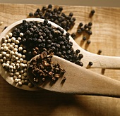 Various types of pepper on wooden spoons