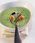 Cream of courgette soup with salmon