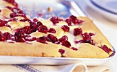 Cranberry cake on baking sheet
