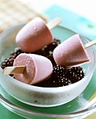 Blackberry yoghurt ice cream on a stick on fresh blackberries