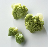 A Head of Romanesco