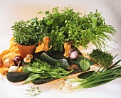 Various herbs with onions and chopping knife