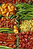 Various types of chili peppers at the market