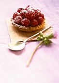 Raspberry tartlet with icing sugar
