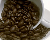 Coffee Beans in White Cup