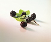 Fresh blackberries with leaf