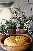 Middle Eastern flatbread in terracotta pot with flowerpots